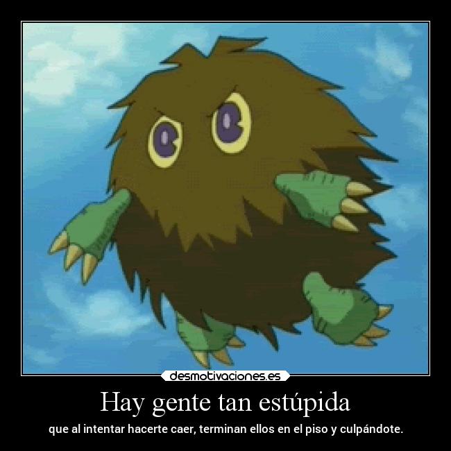 Hay gente tan estúpida - 