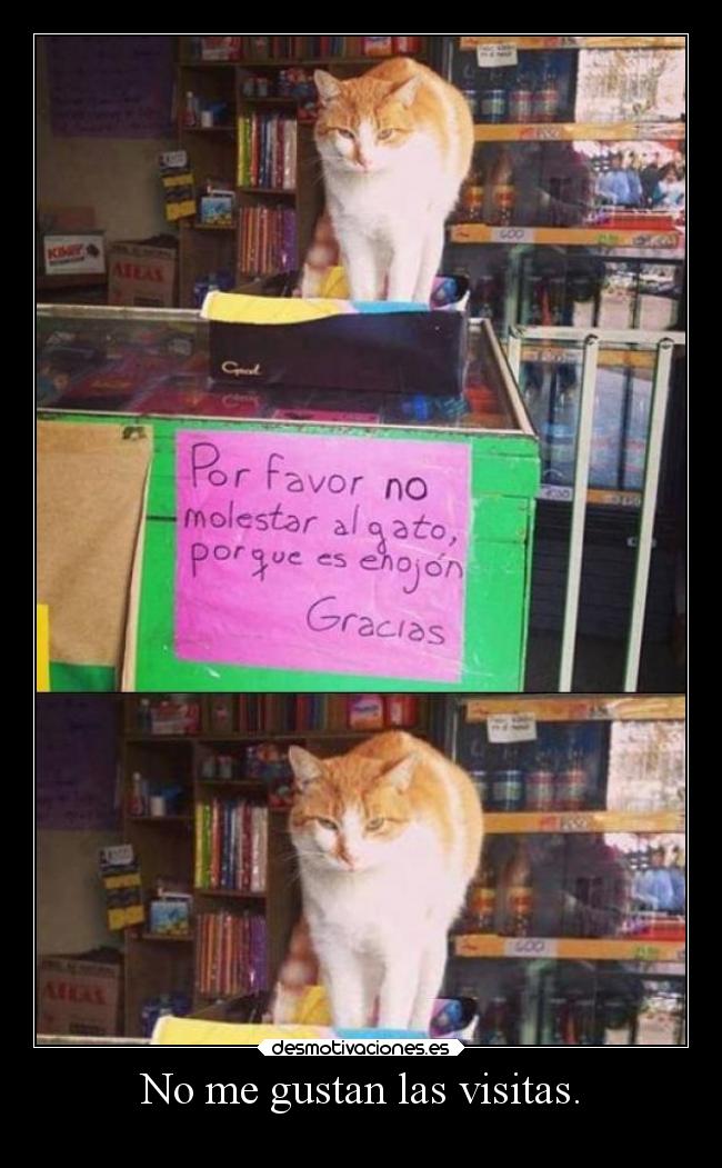 No me gustan las visitas. - 