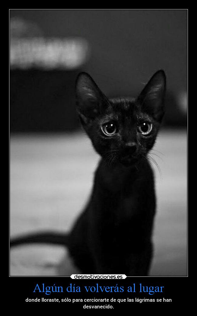 Algún día volverás al lugar - 