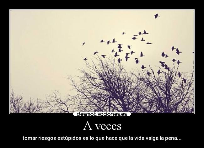 A veces - tomar riesgos estúpidos es lo que hace que la vida valga la pena...