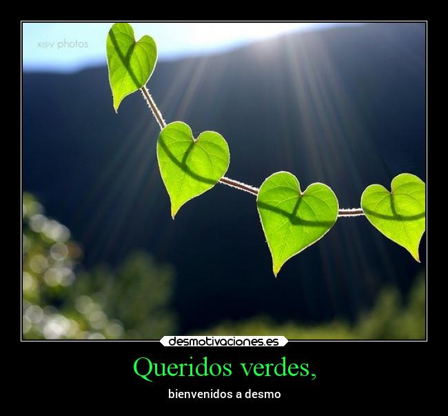 carteles vida superclan soyunidiotatm desmotivaciones