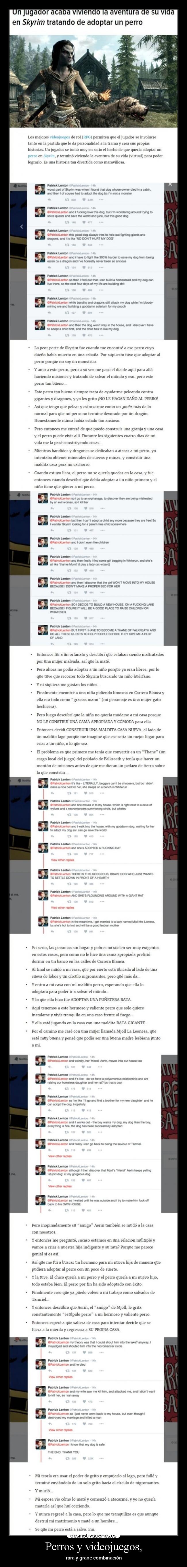 Perros y videojuegos, - rara y grane combinación