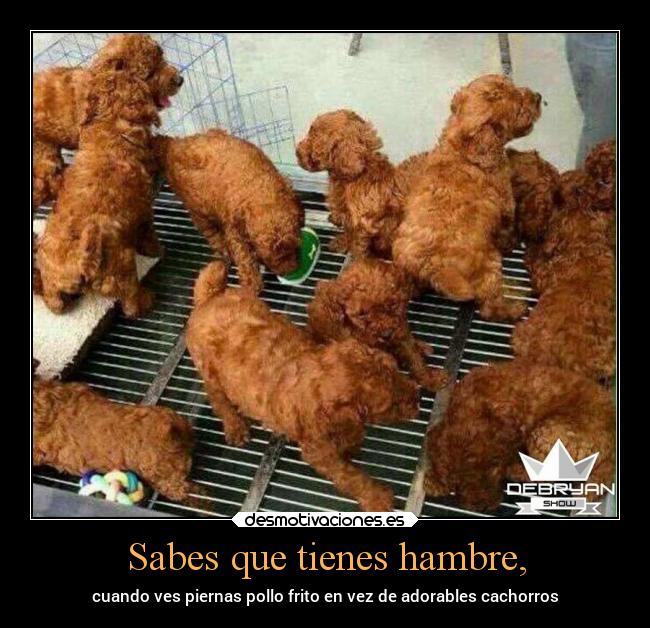 Sabes que tienes hambre, -