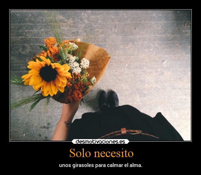 Solo necesito - unos girasoles para calmar el alma.