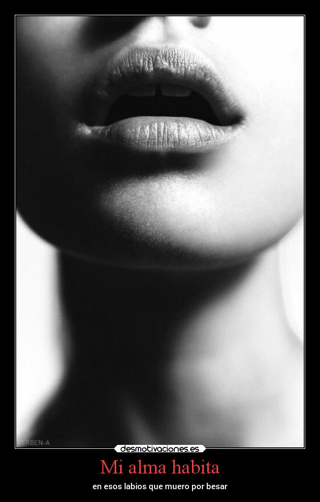 Mi alma habita - 
