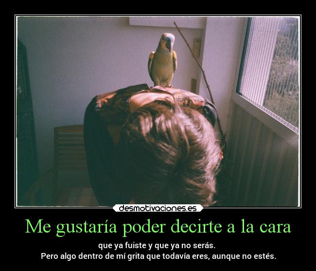 Me gustaría poder decirte a la cara - que ya fuiste y que ya no serás.
Pero algo dentro de mí grita que todavía eres, aunque no estés.