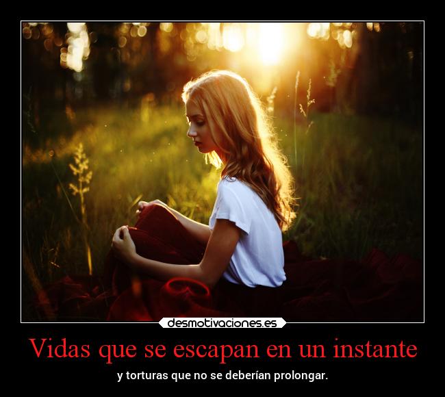 Vidas que se escapan en un instante -