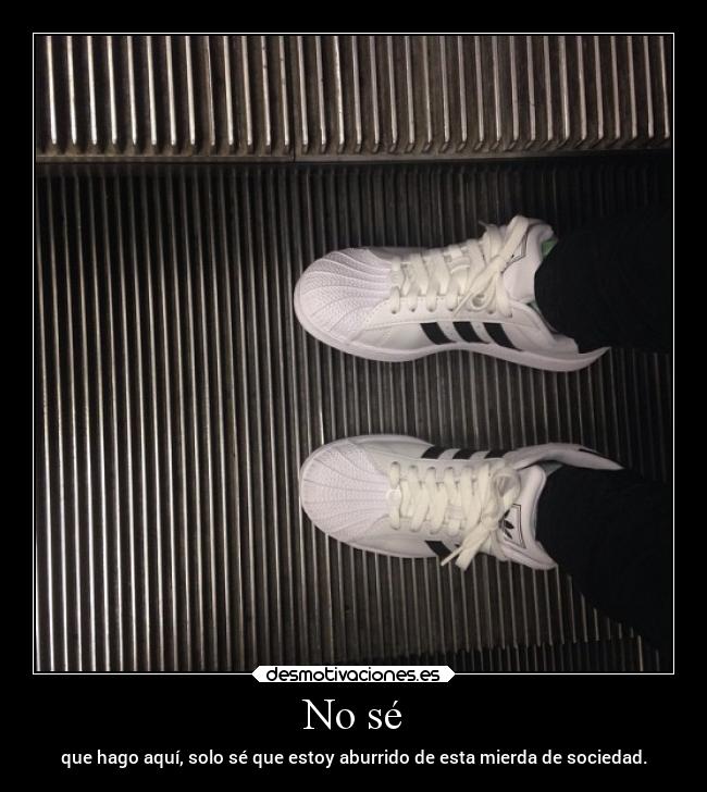 No sé - que hago aquí, solo sé que estoy aburrido de esta mierda de sociedad.