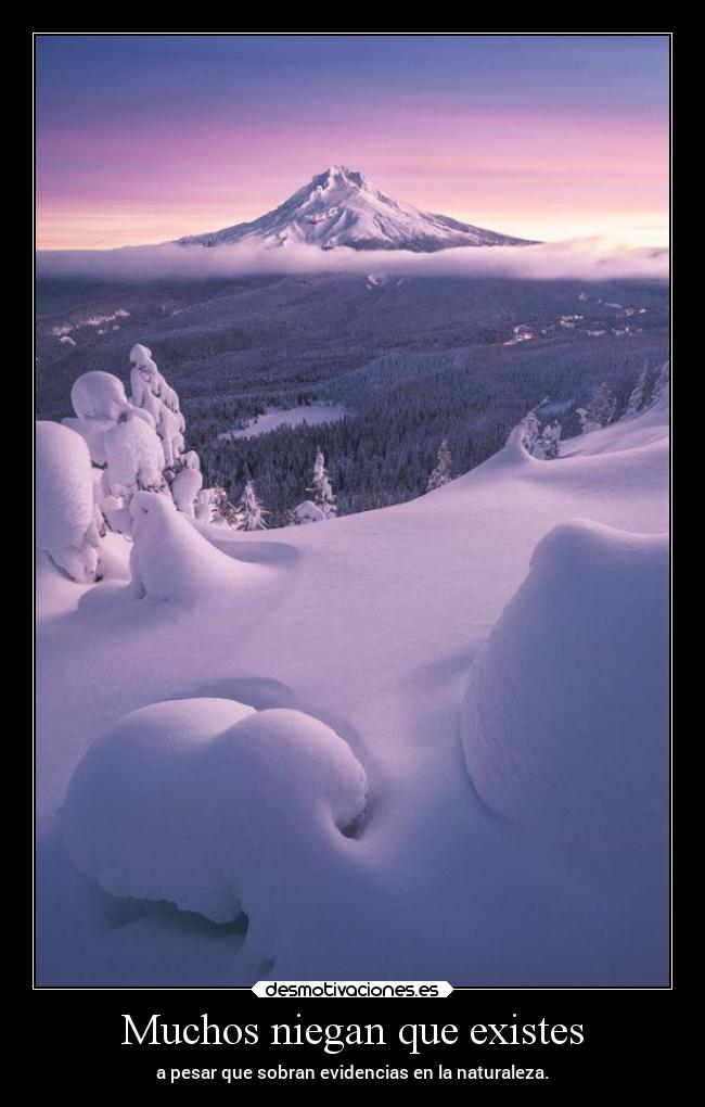 Muchos niegan que existes -