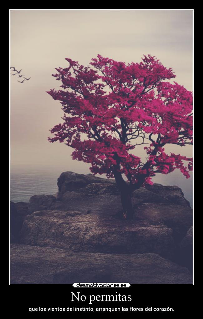 No permitas - que los vientos del instinto, arranquen las flores del corazón.