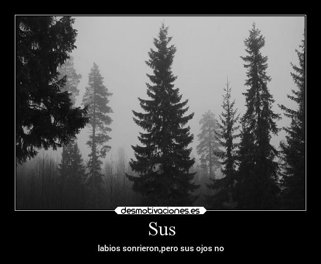 Sus - labios sonrieron,pero sus ojos no