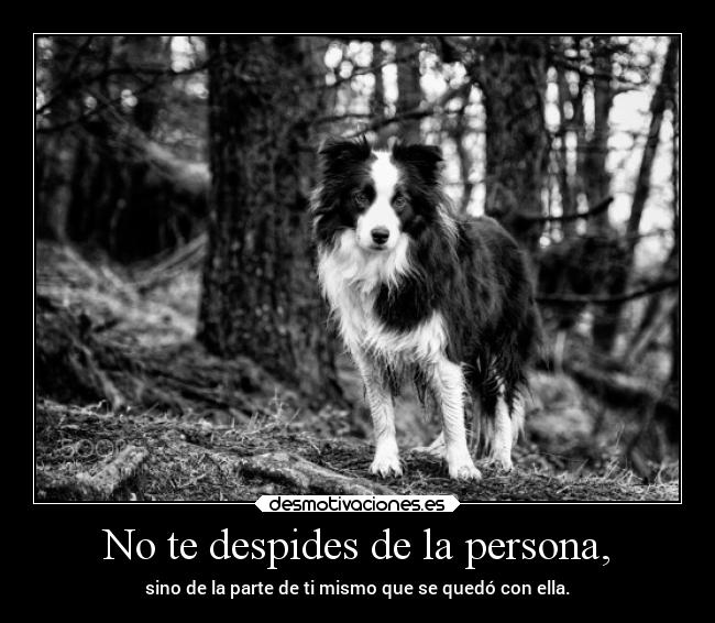 No te despides de la persona, - sino de la parte de ti mismo que se quedó con ella.