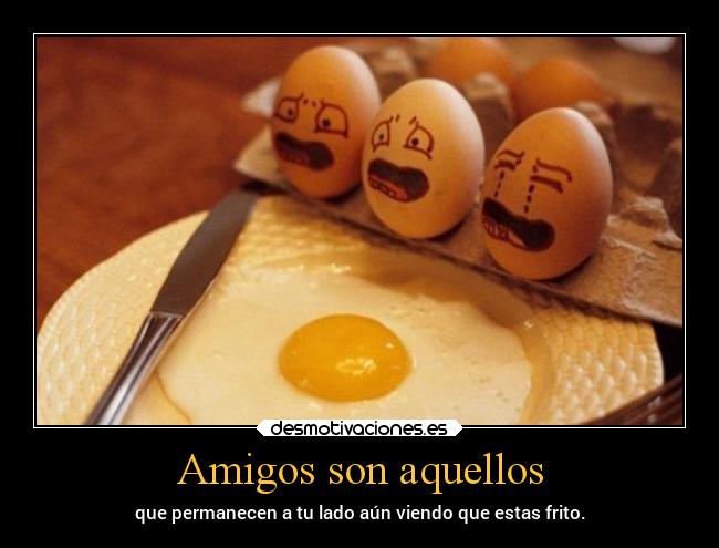 Amigos son aquellos - que permanecen a tu lado aún viendo que estas frito.