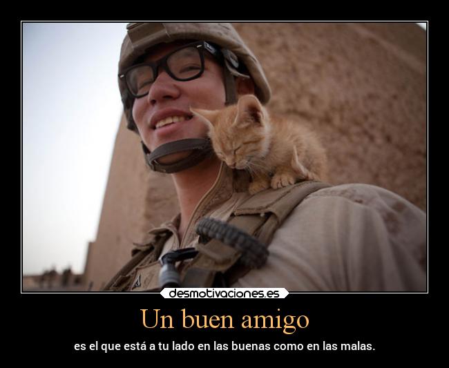 Un buen amigo - es el que está a tu lado en las buenas como en las malas.