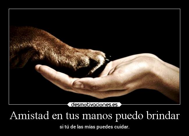 Amistad en tus manos puedo brindar - si tú de las mías puedes cuidar.