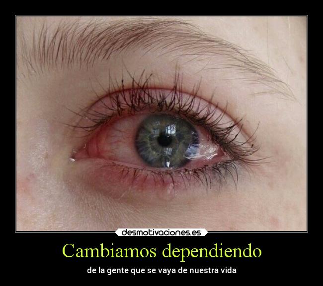 carteles amistad desmotivaciones