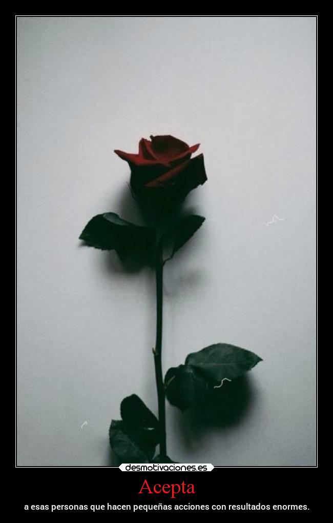 Acepta - a esas personas que hacen pequeñas acciones con resultados enormes.
