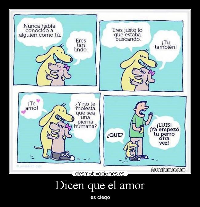 carteles amor amor animales desmotivaciones