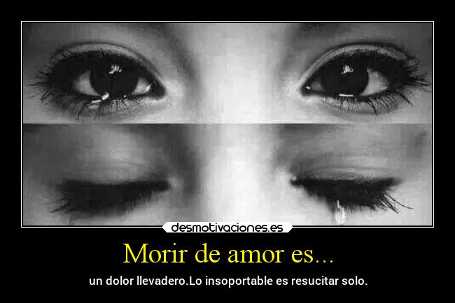 carteles amor desamor dolor corazonroto desmotivaciones