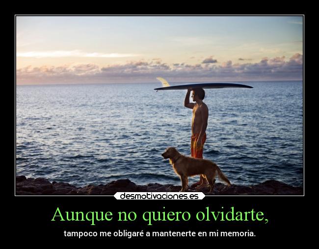 Aunque no quiero olvidarte, - 