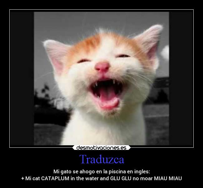 Traduzca - Mi gato se ahogo en la piscina en ingles:
+ Mi cat CATAPLUM in the water and GLU GLU no moar MIAU MIAU