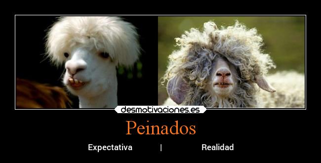 Peinados - Expectativa | Realidad