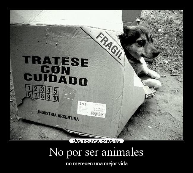 No por ser animales -