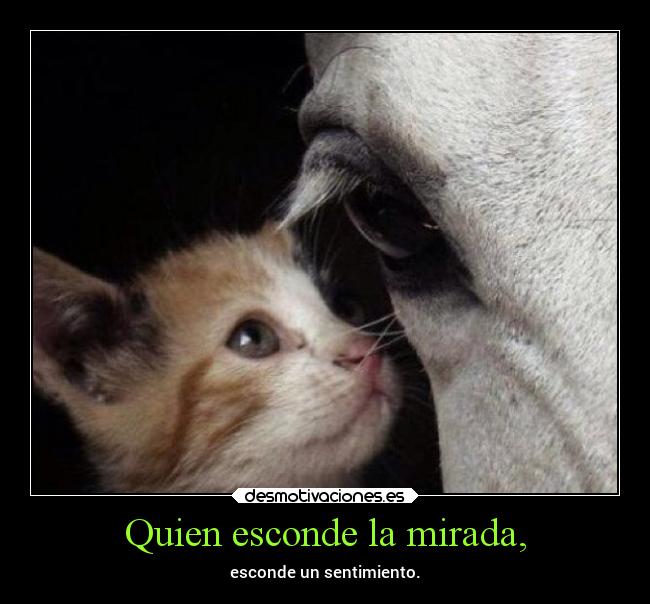 Quien esconde la mirada, - esconde un sentimiento.
