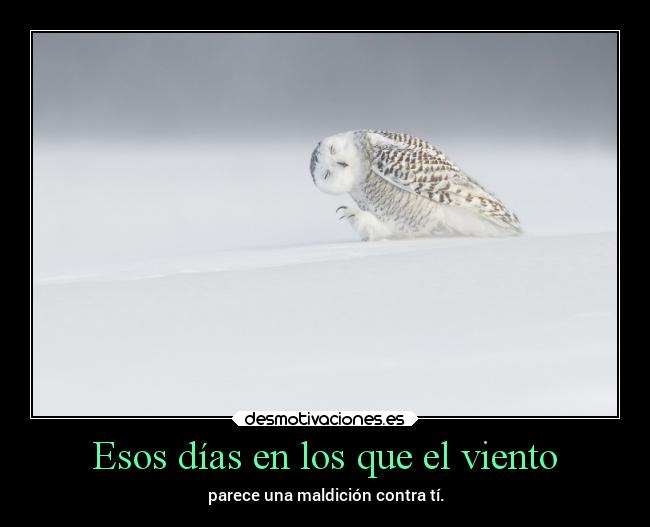 Esos días en los que el viento - parece una maldición contra tí.
