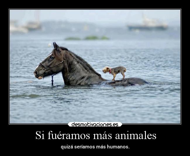 Si fuéramos más animales - 