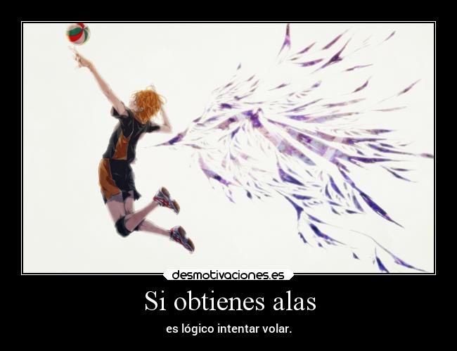 Si obtienes alas - es lógico intentar volar.