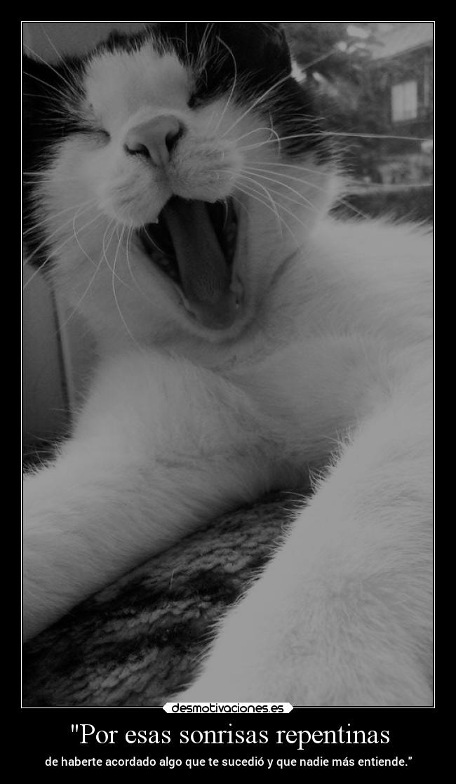 Por esas sonrisas repentinas - de haberte acordado algo que te sucedió y que nadie más entiende.