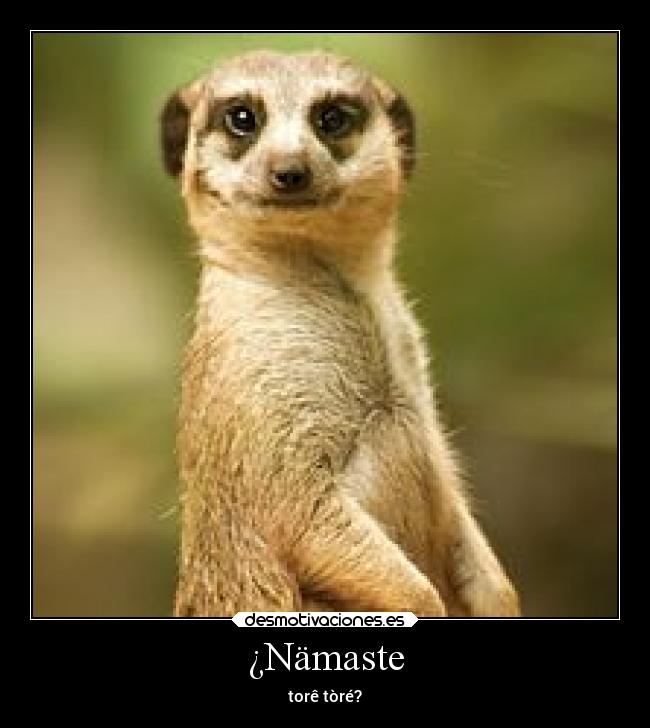 ¿Nämaste -
