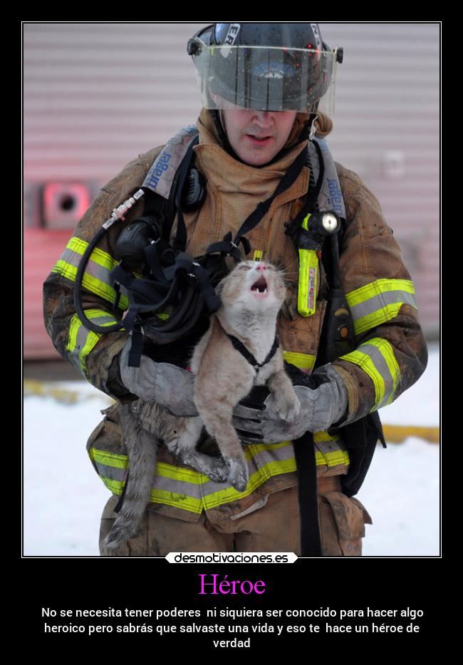Héroe - No se necesita tener poderes  ni siquiera ser conocido para hacer algo
heroico pero sabrás que salvaste una vida y eso te  hace un héroe de
verdad