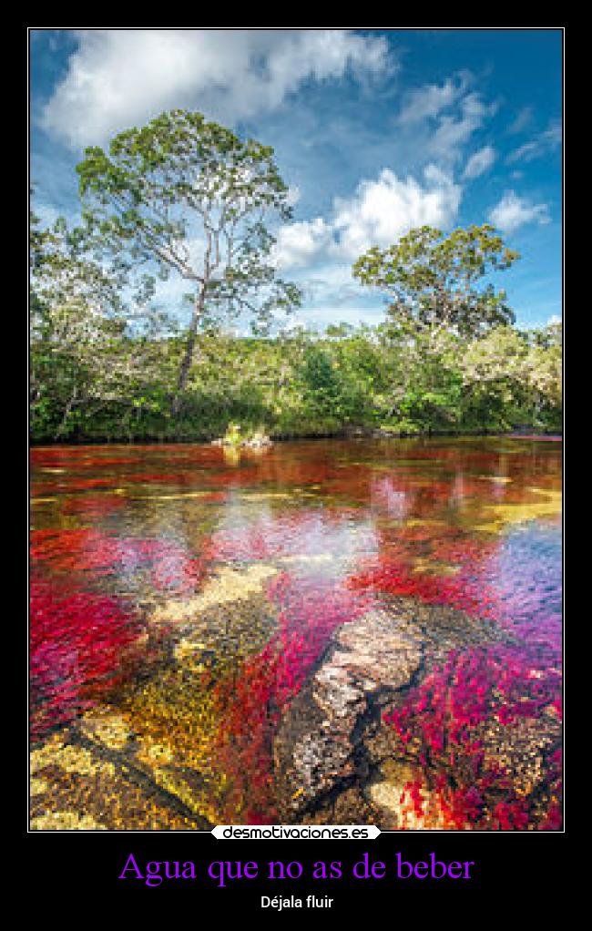 Agua que no as de beber - Déjala fluir