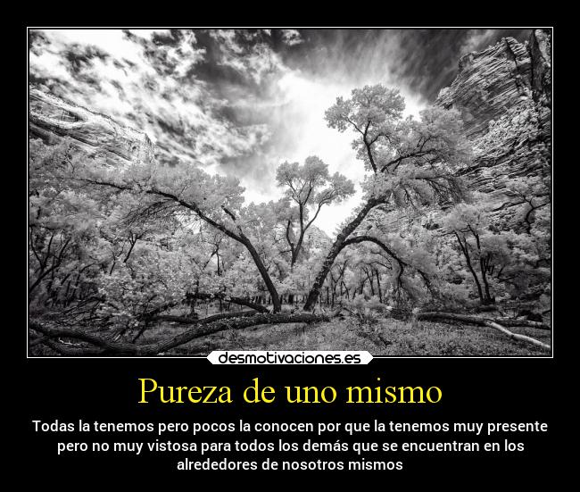 Pureza de uno mismo - Todas la tenemos pero pocos la conocen por que la tenemos muy presente
pero no muy vistosa para todos los demás que se encuentran en los
alrededores de nosotros mismos
