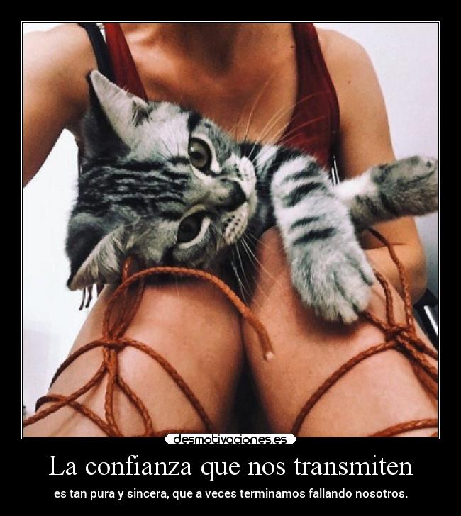 La confianza que nos transmiten - 