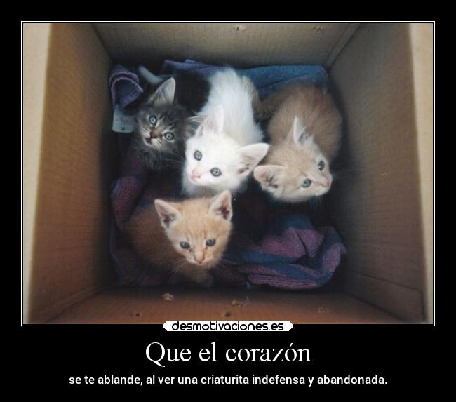 Que el corazón - se te ablande, al ver una criaturita indefensa y abandonada.