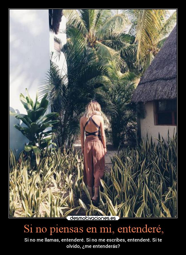 Si no piensas en mi, entenderé, - Si no me llamas, entenderé. Si no me escribes, entenderé. Si te
olvido, ¿me entenderás?