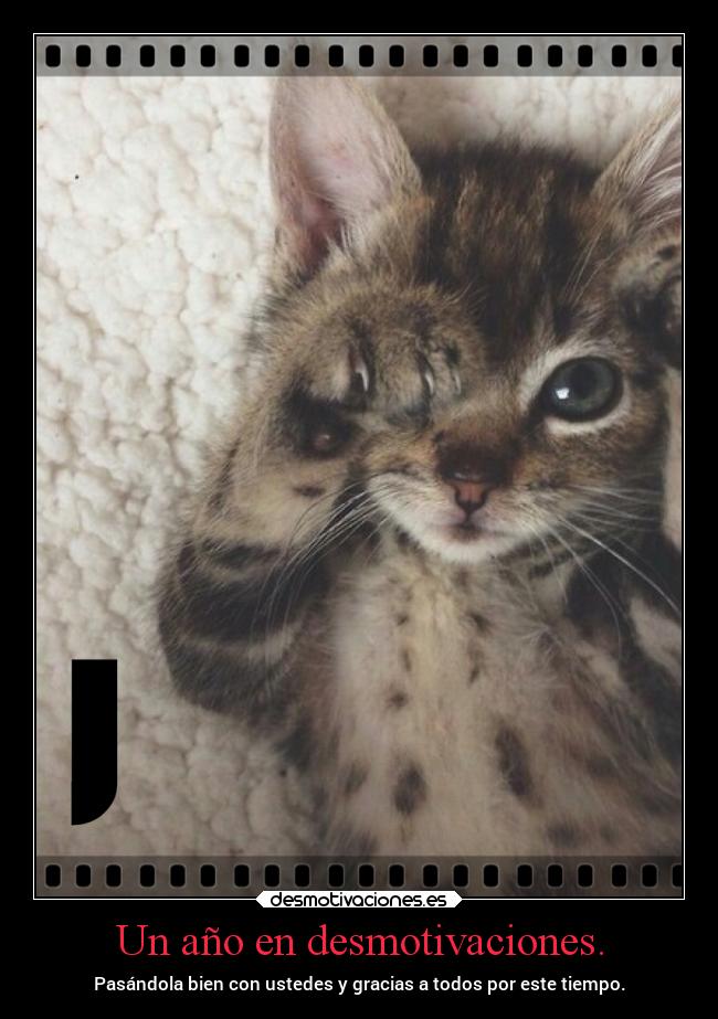 Un año en desmotivaciones. - Pasándola bien con ustedes y gracias a todos por este tiempo.