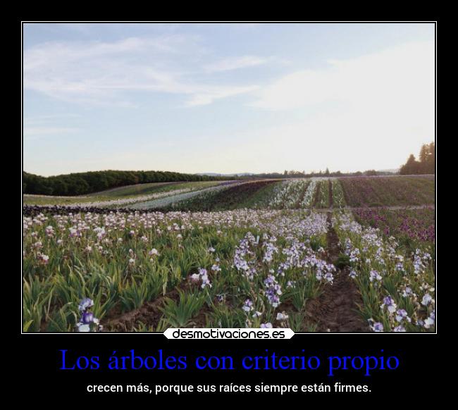 Los árboles con criterio propio -