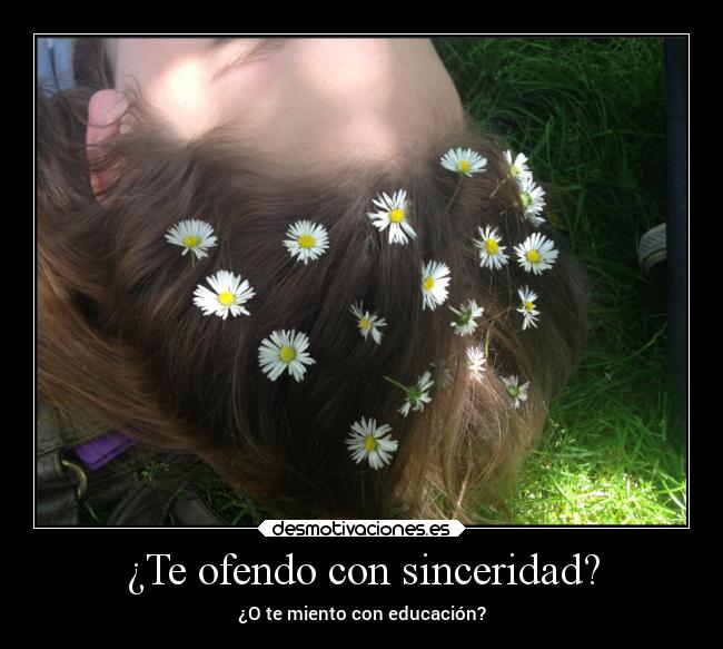 ¿Te ofendo con sinceridad? - ¿O te miento con educación?