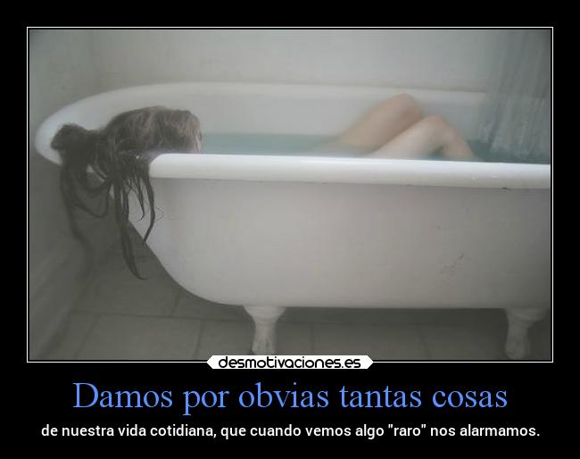 Damos por obvias tantas cosas - 