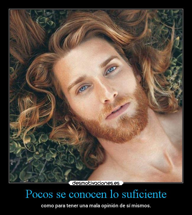 carteles desmotivaciones vida clandesplazado soyunidiotatm projectd manada32 desmotivaciones