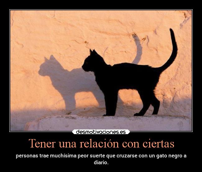 Tener una relación con ciertas - personas trae muchísima peor suerte que cruzarse con un gato negro a
diario.
