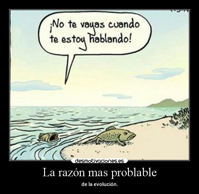 La razón mas problable - 