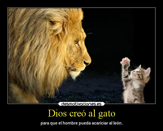 Dios creó al gato - para que el hombre pueda acariciar al león.
