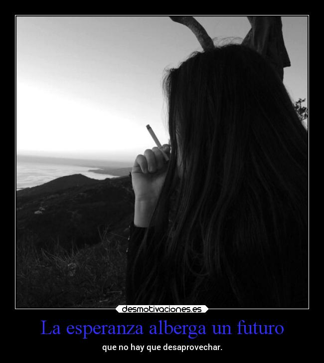 carteles esperanza vida futuro esperanzas bobadas mels desmotivaciones