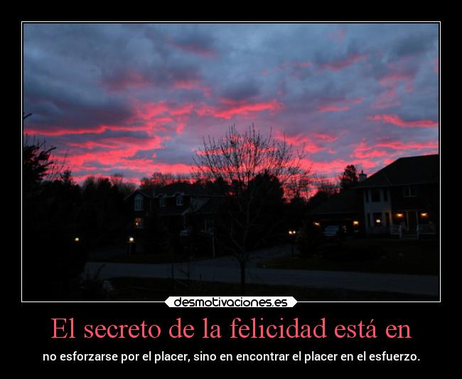 El secreto de la felicidad está en - no esforzarse por el placer, sino en encontrar el placer en el esfuerzo.