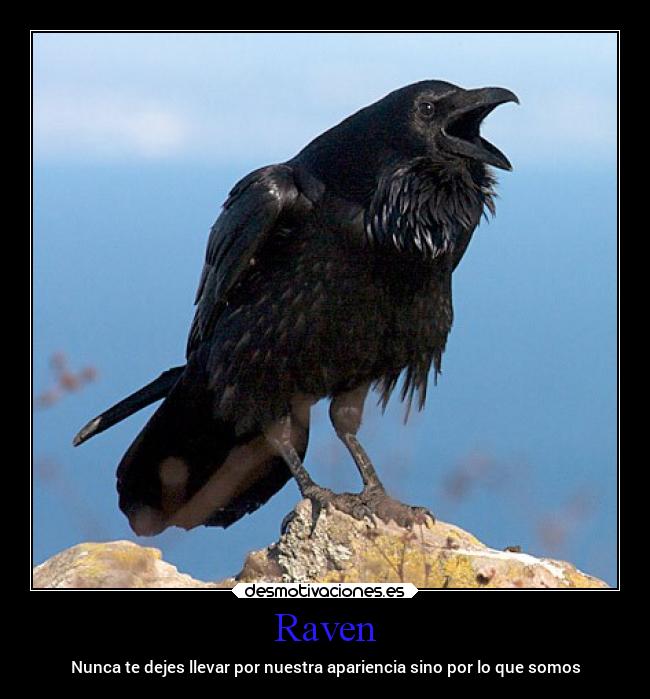 Raven - Nunca te dejes llevar por nuestra apariencia sino por lo que somos